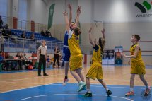 beybl102015-_MG_0682