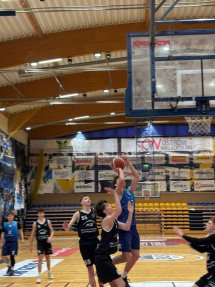 FOTO-2026-02-08-11-50-51