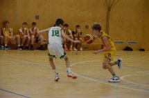 DSC_0012 (Kopírovat)