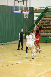 IMG_7531 (Kopírovat)